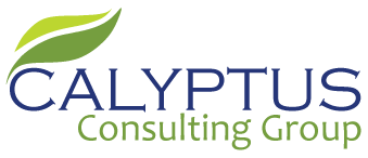 Calyptus_Consulting_Group (1)